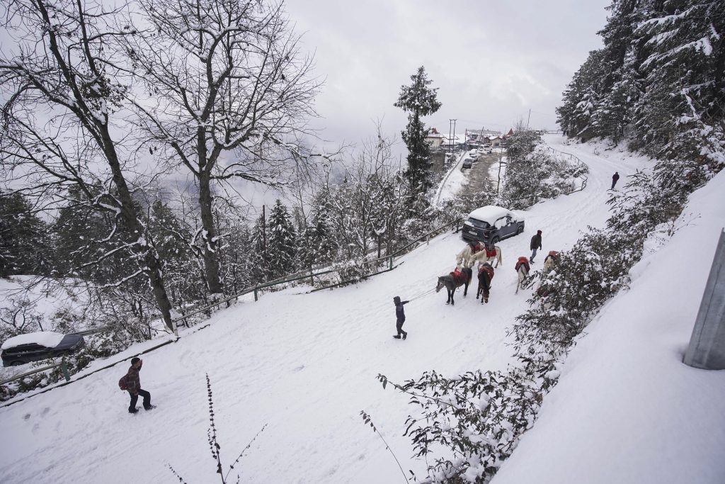 Weather Forecast: पश्चिमी विक्षोभ का दिखेगा असर, 24 से 27 दिसंबर तक बदलेगा मौसम, दिल्ली समेत इन राज्यों में बारिश 3 24121 Pti12 24 2024 000099A 1 1