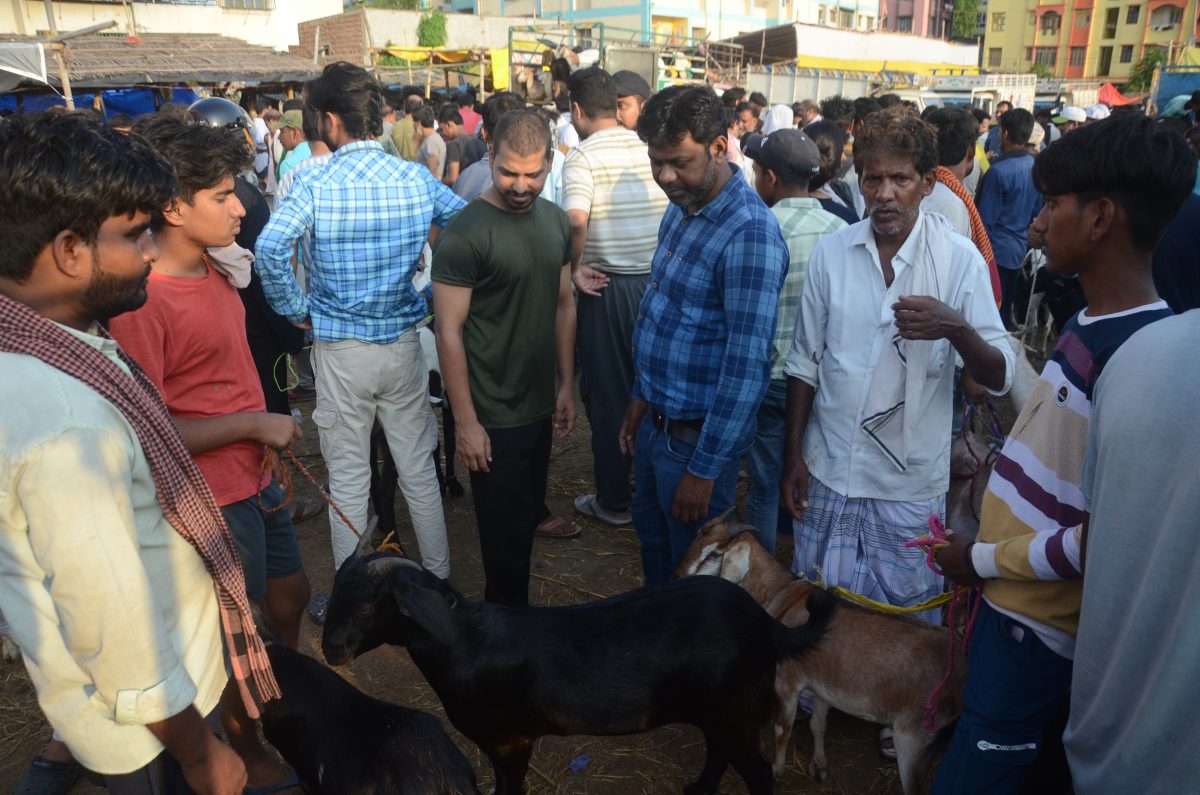 Bakrid 2025: बकरीद पर पटना के बाजार में 08 हजार रुपये से 90 हजार के बीच बिके बकरे, जानें नमाज अदा करने का समय 4 Bakrid Par Bakra Kharidte Hue 3