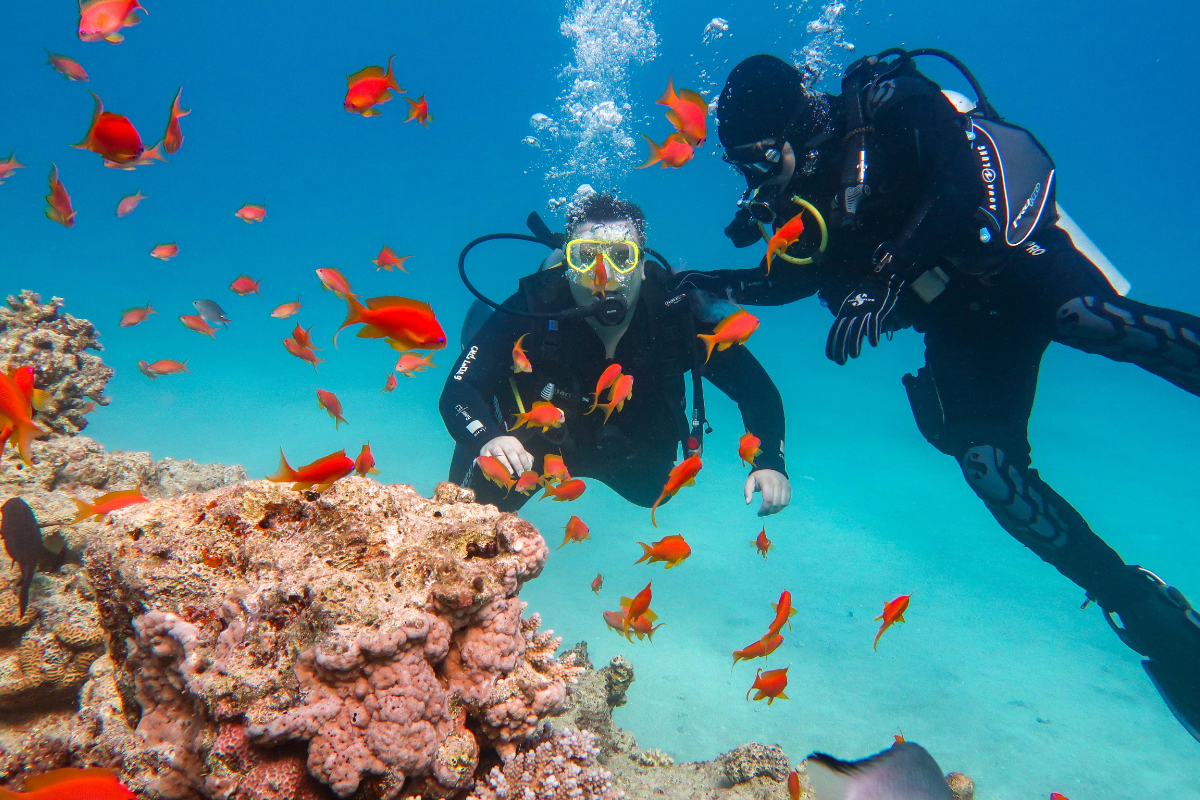 World Ocean Day 2025: महासागरों को बचाने का संकल्प, जानें इस दिन का महत्व और इतिहास 3 Ocean Day 2