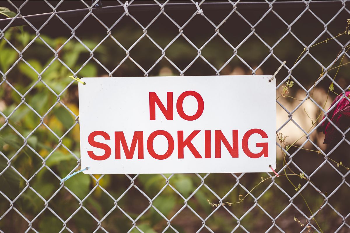सिगरेट पीने पर रोक, लेकिन क्यों? पकड़े जाने पर 13 हजार का जुर्माना 2 Smoking Ban