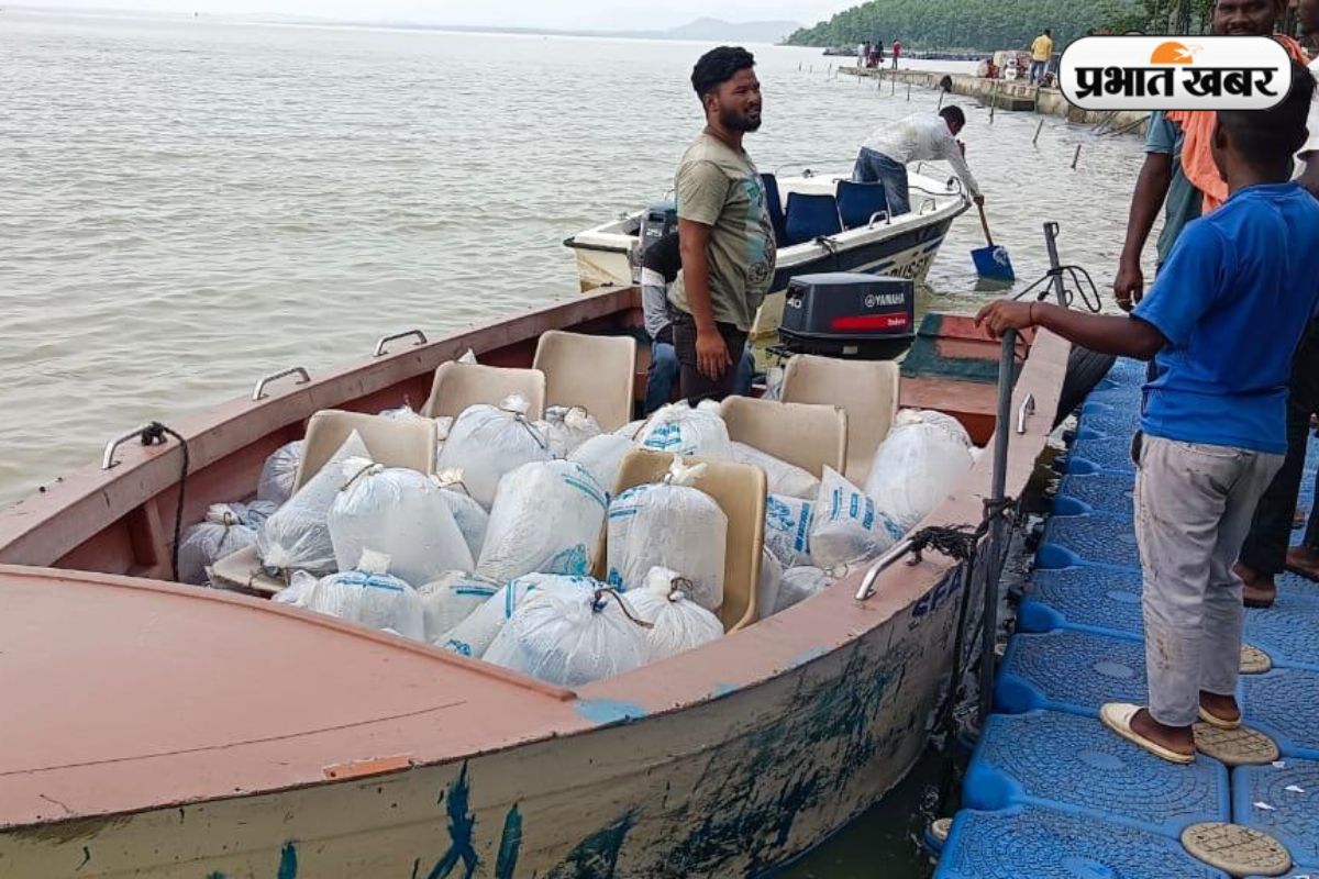 Photos: मत्स्य के क्षेत्र में आत्मनिर्भर बनेगा झारखंड, 4.10 लाख मीट्रिक टन मछली उत्पादन का लक्ष्य 6 Fish Farming In Kolhan Jharkhand Update News Today