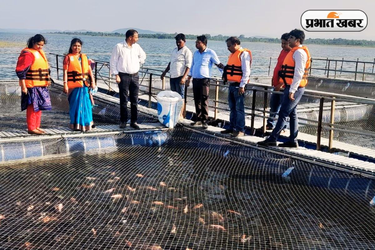 Photos: मत्स्य के क्षेत्र में आत्मनिर्भर बनेगा झारखंड, 4.10 लाख मीट्रिक टन मछली उत्पादन का लक्ष्य 5 Fish Farming In Kolhan Jharkhand
