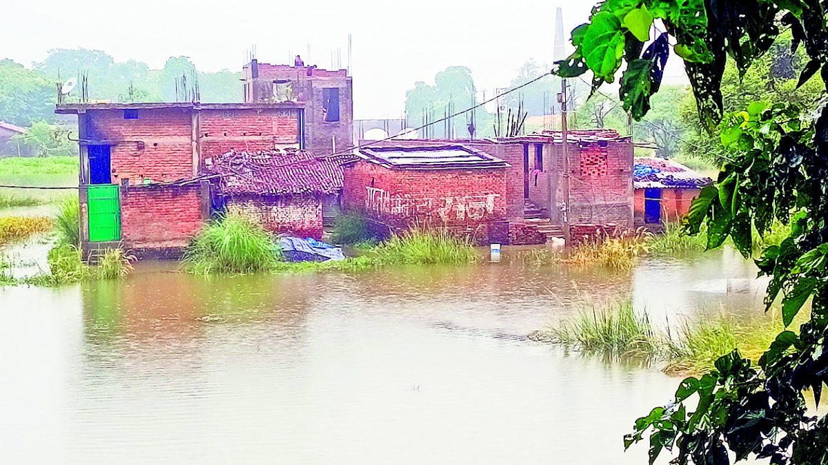 Photos: बिहार में सड़क पर चल रही नाव, घरों को निगल रही नदी, बक्सर से भागलपुर तक बाढ़ से हाहाकार 14 03mun 17 03082025 72 c721bha120859659