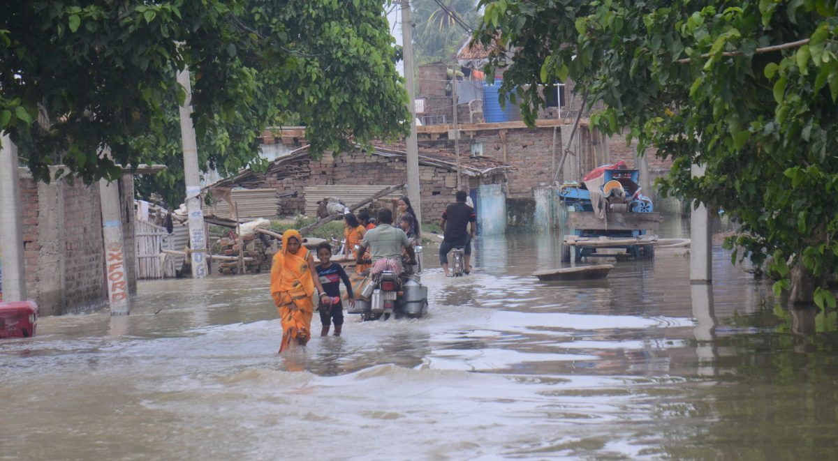 Photos: भागलपुर में गंगा का विकराल रूप 7 तस्वीरों में देखिए, नदी में गिर रहे घर और शहर में चल रही नाव 2 11Bha 10 11082025 6 1