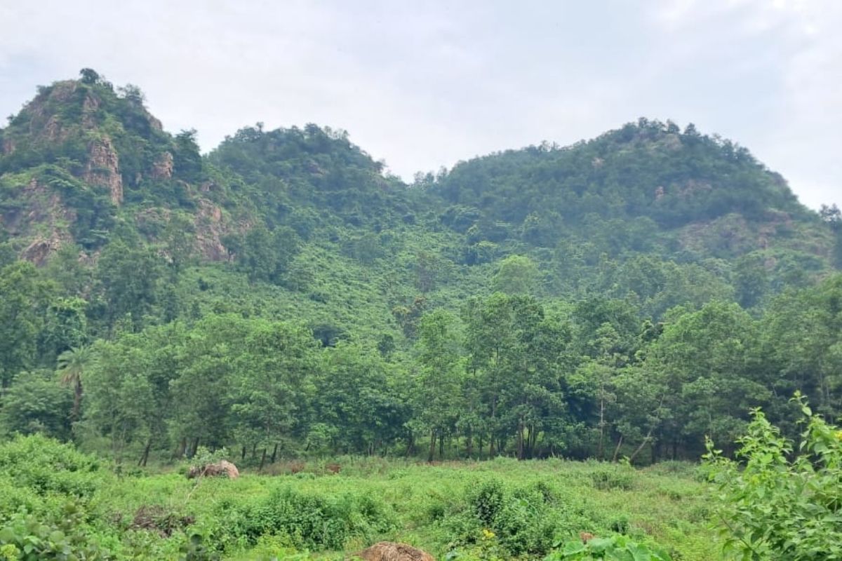 शिबू सोरेन की बहन की भावुक श्रद्धांजलि- पुलिस से बचने के लिए किसान, साधु के वेश में रहते थे भैया 2 Shibu Soren Story Barlanga Nemra Jungle