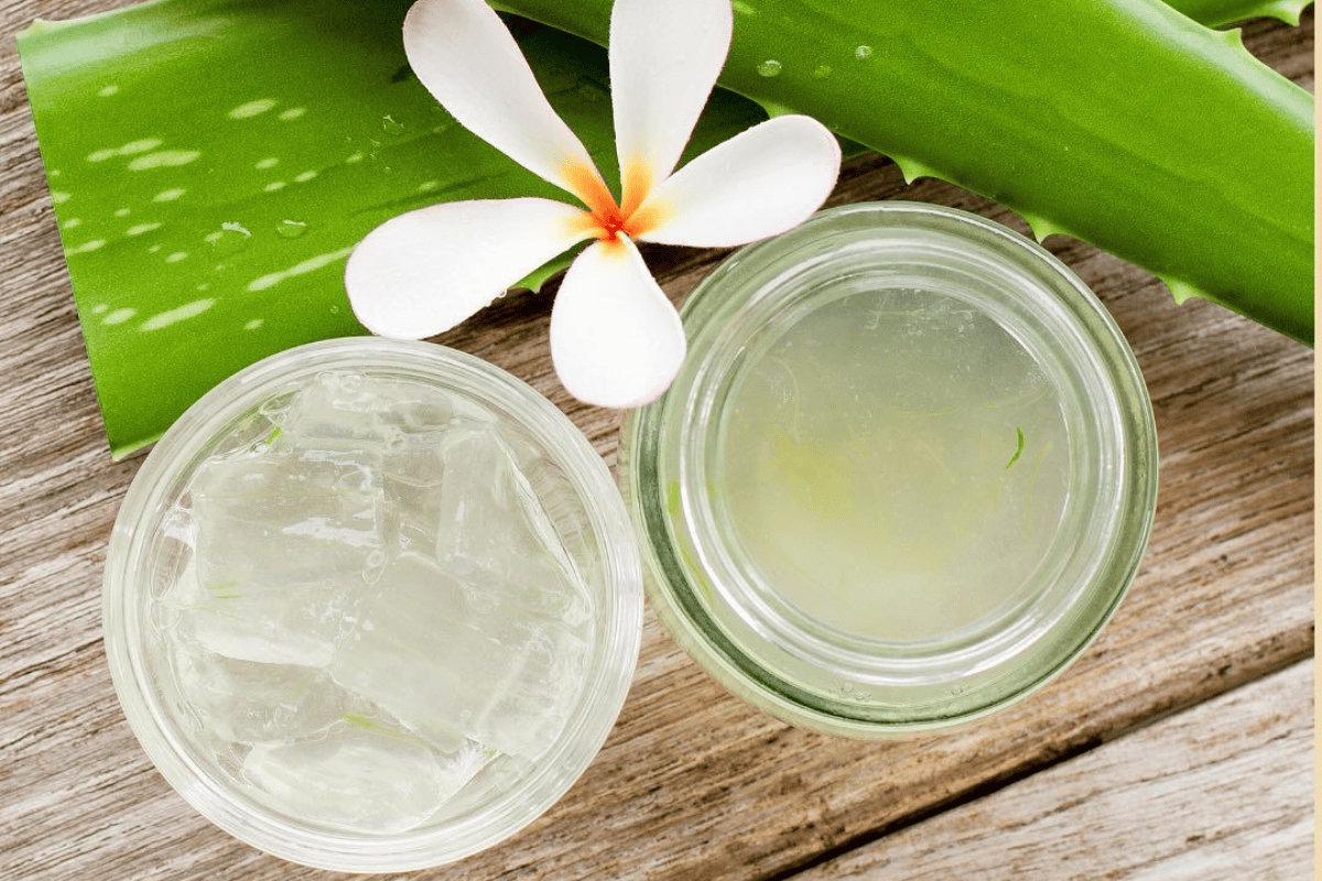 Hair Care Tips: बदबूदार अंडे के बिना भी हो सकते हैं बाल सिल्की और शाइनी 2 Aloe Vera Gel For Skin And Aloe Vera Gel For Silky And Shiny Hair
